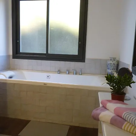 Eucalyptus Le Soler